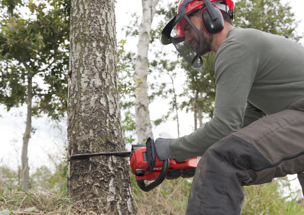 SKIL BRUSHLESS' CORDLESS CHAINSAW - 0540 CA